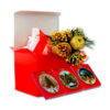 New York Christmas Trees Ornaments Gift Set