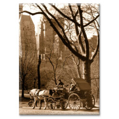 Carriage Ride in Central Park New York Magnet Photo keepsake Souvenir M7005