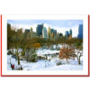 Wollman Rink Panorama - Handmade Photo Card
