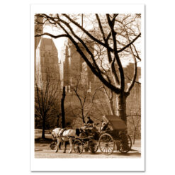 Carriage Ride Central Park Art Print Poster MP-1005