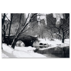 Love Bridge Central Park New York Black White Art Print NY MP-1006