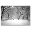 Snow on Poet Walk Central Park Art Print Poster NY MP-1146