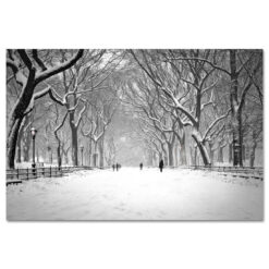 Snow on Poet Walk Central Park Art Print Poster NY MP-1146