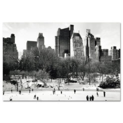 Wollman Rink Panorama in Central Park New York Art Print MP-1042