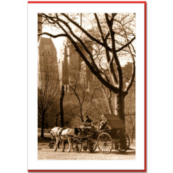 Carriage Ride in Central Park Handmade Photo Card HPC2316