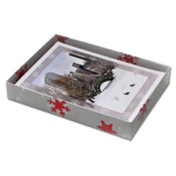 Love Bridge Snow Central Park NY Christmas Cards CGC8802 box