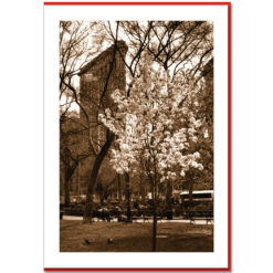 Spring at Flatiron Building Handmade Photo Card HPC2314