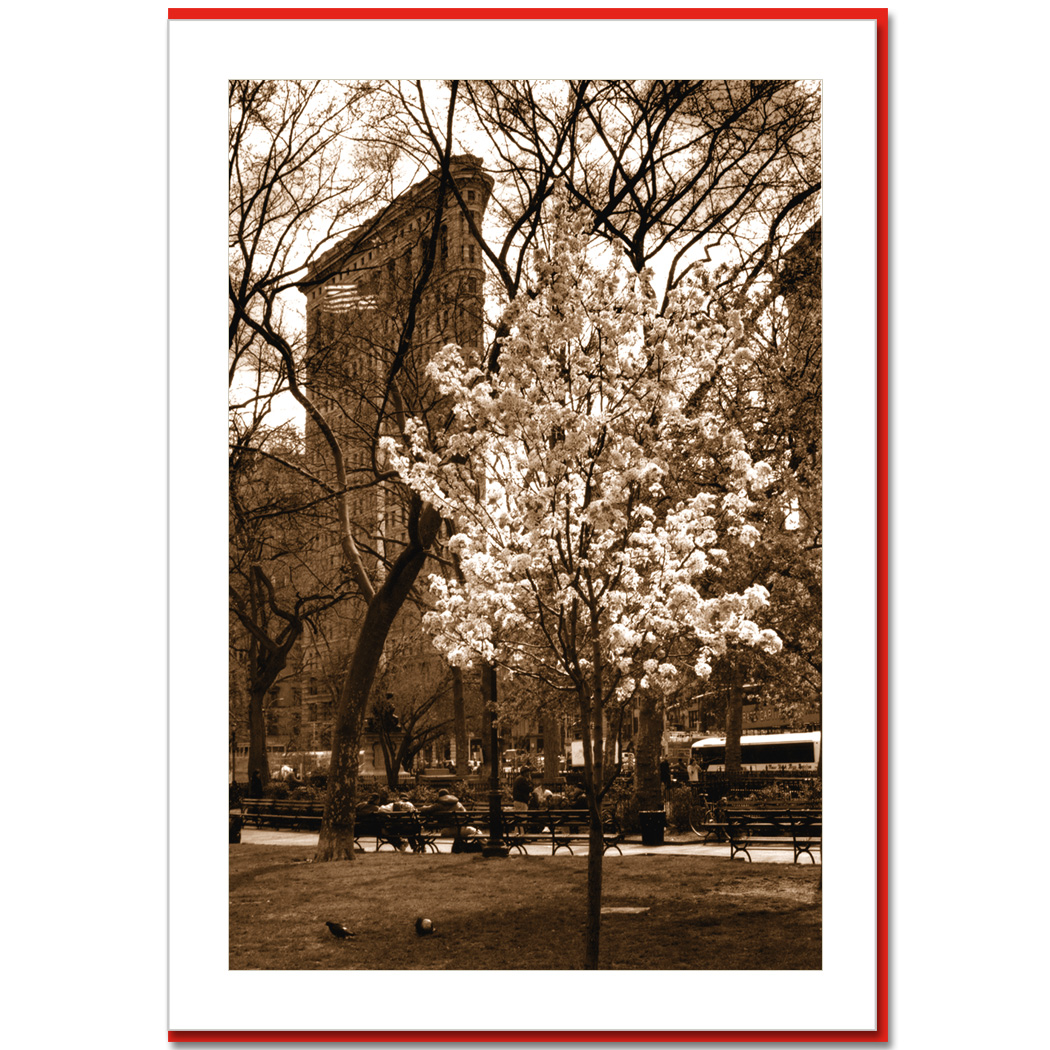 Spring at Flatiron Building Handmade Photo Card HPC2314