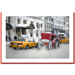 Traffic at Central Park South NY Christmas Cards HPC2889