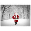 BMC3209 Santa Walking on Poet Lane in Central Park boxed cards from NY Christmas Gifts