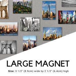 New York City BW Landmarks Photo Fridge Cool Collectible Magnet M7081