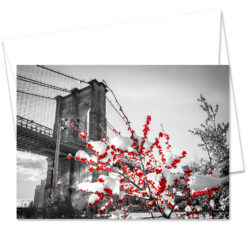 MC-3306-Red-Berries-Brooklyn-Bridge New York City Holidays Cards Set Envelope