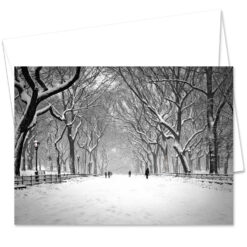 MC-3314-Poet-Walk-Central-Park New York City Greeting Cards Envelope