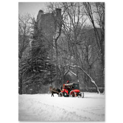MC-3316-Red-Carriage-In-Central-Park-New York City Greeting Card