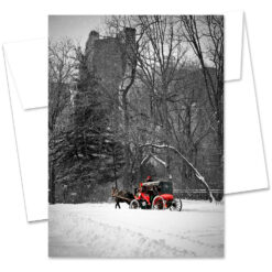 MC-3316-Red-Carriage-In-Central-Park-New York City Greeting Card